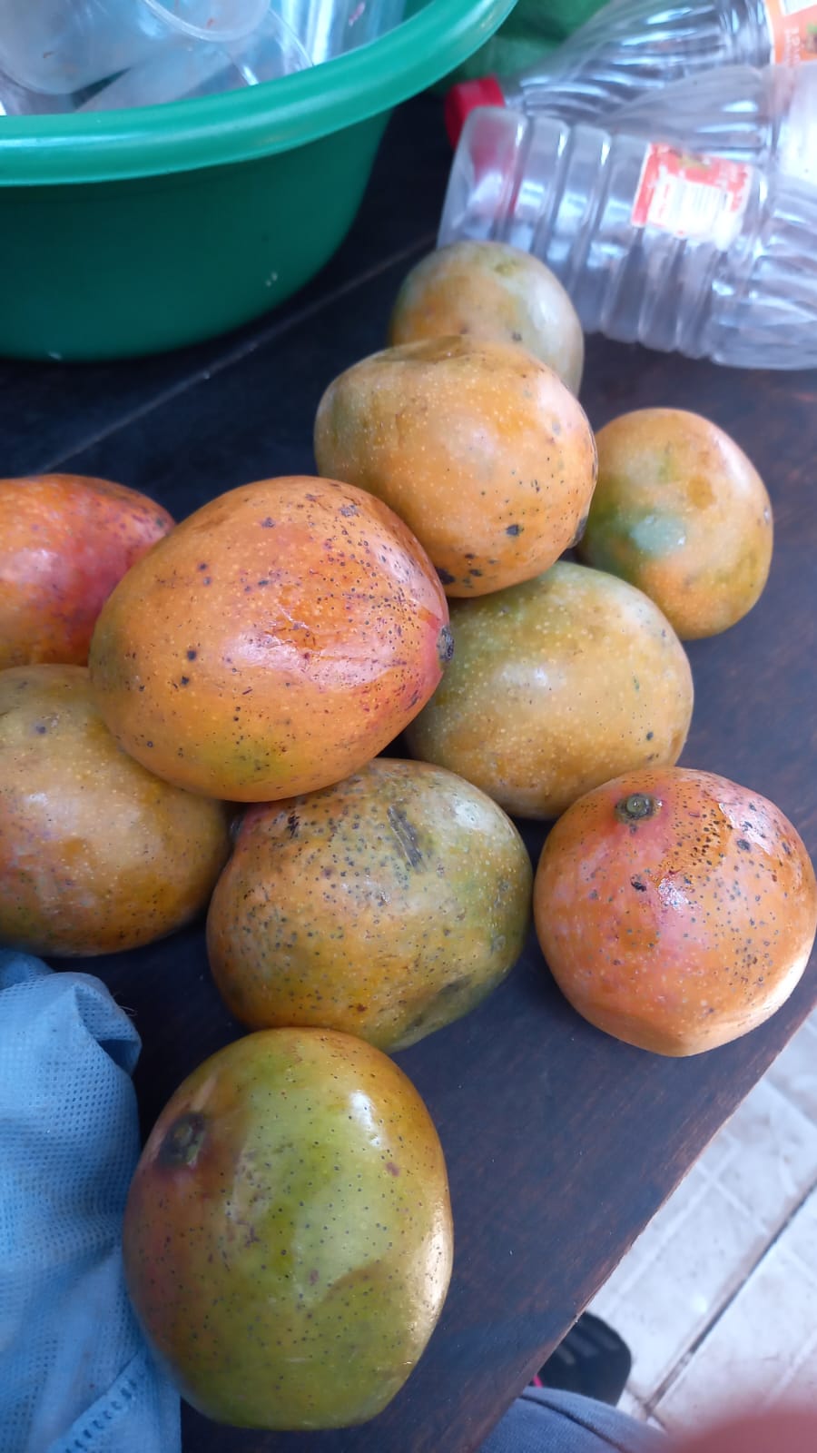 Maembe ya Zanzibar