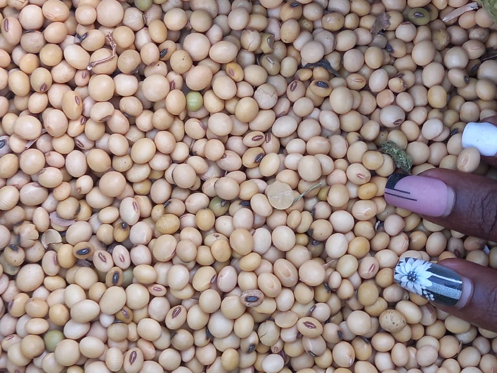 SoYABeans